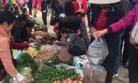 chống dịch covid-19: hà nội đề xuất cho tạm nghỉ một số cơ quan hành chính hình 2