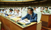 không phải "đổi vai" hay "sân anh, sân tôi" khi xây dựng luật hình 2