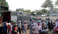 hà nội hỗ trợ tích cực việc tiêu thụ nông sản cho nông dân hình 3