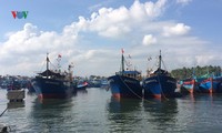 cửa sông bồi lấp khiến ngư dân quảng ngãi bất an hình 4
