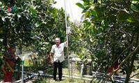 nhiều tàu hải quân chuyển nước ngọt về cho người dân vùng hạn mặn hình 5