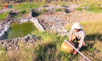 những mô hình thích nghi với hạn mặn ở đbscl hình 5