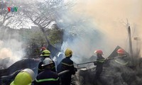 người dân đốt nương làm rẫy gây cháy 4ha rừng hình 3
