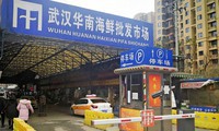 viêm phổi lạ: phát hiện thêm 17 trường hợp nhiễm mới hình 2