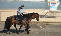 australia sắp tung đội ngũ y bác sĩ về hưu vào trận chiến chống covid-19 hình 2