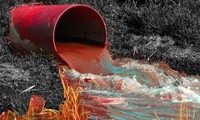 rác thải y tế thời hậu covid-19: tiếng kêu cứu từ đại dương hình 2