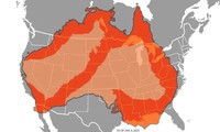 australia buộc tội 24 người cố tình châm mồi lửa gây cháy rừng hình 2