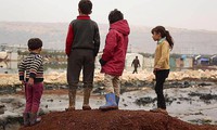 các lực lượng chính phủ syria quyết giành lại toàn bộ aleppo hình 2