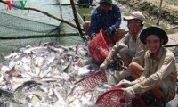 hơn 430 triệu usd hỗ trợ phát triển thủy sản bền vững từ nay đến năm 2025 hình 2