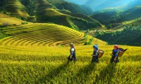 xứ dừa bến tre phát triển du lịch thành ngành kinh tế mũi nhọn hình 5