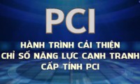 đà nẵng tụt hạng chỉ số pci do cán bộ quá thận trọng? hình 4