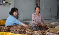 làng dong riềng húc động vào vụ tết hình 6
