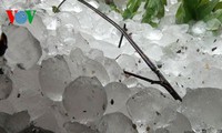 bắc kạn bất ngờ có mưa đá ngày 30 tết hình 3