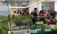 thủ tướng chỉ thị tạo điều kiện cho doanh nghiệp khởi nghiệp sáng tạo hình 2