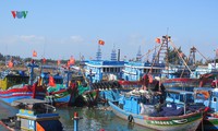 xuất khẩu hải sản sang thị trường eu sụt giảm mạnh vì "thẻ vàng" hình 2