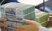 xuống giống "vội" vùng sắn nhiễm bệnh, nông dân nguy cơ thiệt hại nặng hình 3