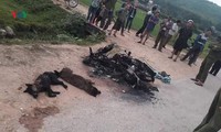 nghệ an triệt xóa đường dây đánh bạc sử dụng công nghệ cao hình 2