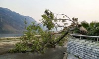 mưa lốc ở sơn la khiến gần 200 học sinh phải nghỉ học hình 2