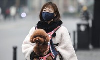 covid-19 đang ở "giai đoạn bước ngoặt"- thế giới hành động quyết liệt hình 2