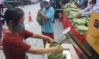 việt nam nằm trong số 5 quốc gia tạo ra kỳ tích chống dịch covid-19 hình 2