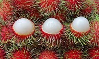 chôm chôm việt chính thức vào thị trường new zealand hình 3