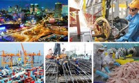 tiến độ cổ phần hoá các doanh nghiệp nhà nước rất chậm hình 2