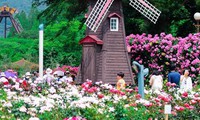 nhiều hoạt động đặc sắc tại festival vì hòa bình ở quảng trị hình 4