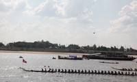 màn trình diễn thú vị trêu rơm, bò rạ hình 8