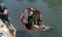 một phụ nữ nhảy cầu chương dương tự tử vì chán chuyện gia đình hình 2