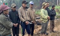 khởi tố 5 đối tượng phá rừng đặc dụng hình 3