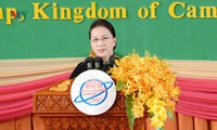 phó chủ tịch quốc hội tòng thị phóng kết thúc chuyến thăm và dự hội nghị appf-28 hình 5