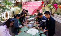 đại sứ quán việt nam tại séc tổ chức đón xuân 2020 hình 4