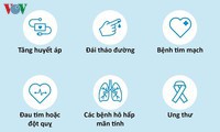 thanh niên việt nam nói không với thuốc lá và thuốc lá điện tử hình 2