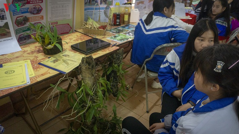 loat du an "doc" cua hoc sinh lao cai tai ky thi khoa hoc ky thuat hinh 12