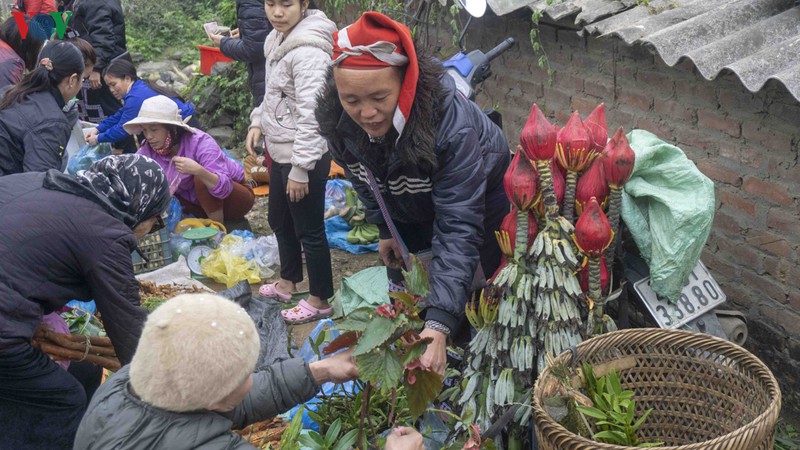 doc dao tai phien cho cuoi nam o vung cao ta phoi hinh 8