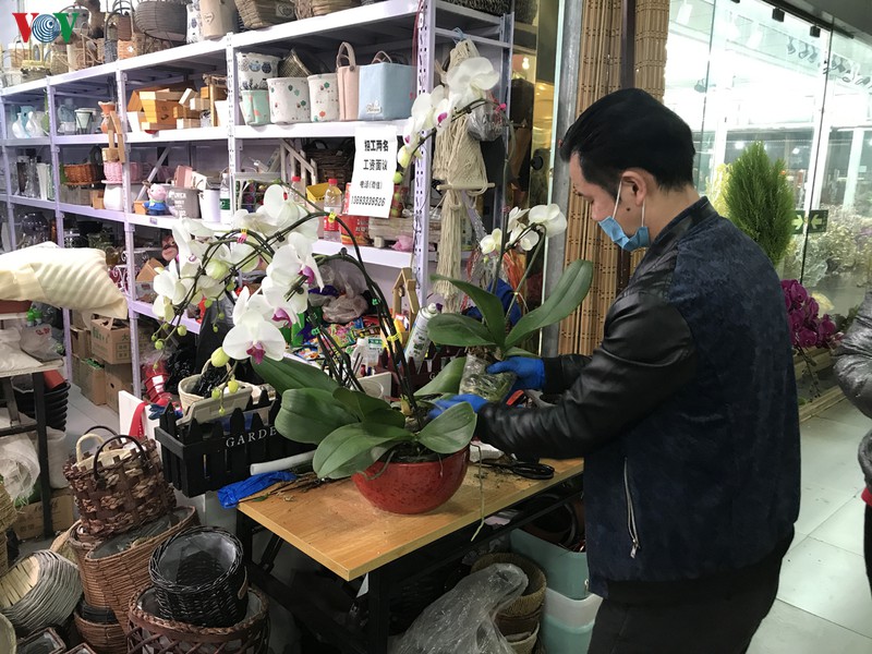 ruc ro sac mau cho hoa tai bac kinh (trung quoc) sang 30 tet hinh 5
