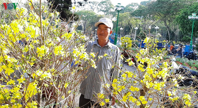gia nhieu loai hoa tai tphcm giam toi 50% ngay 30 tet hinh 1