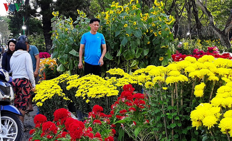 gia nhieu loai hoa tai tphcm giam toi 50% ngay 30 tet hinh 2