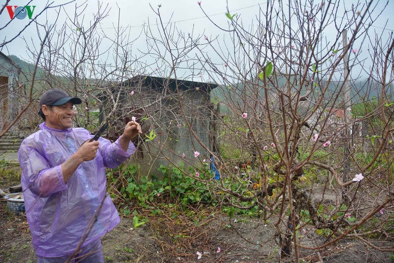 nguoi trong dao tren dao van don don tet am no hinh 1