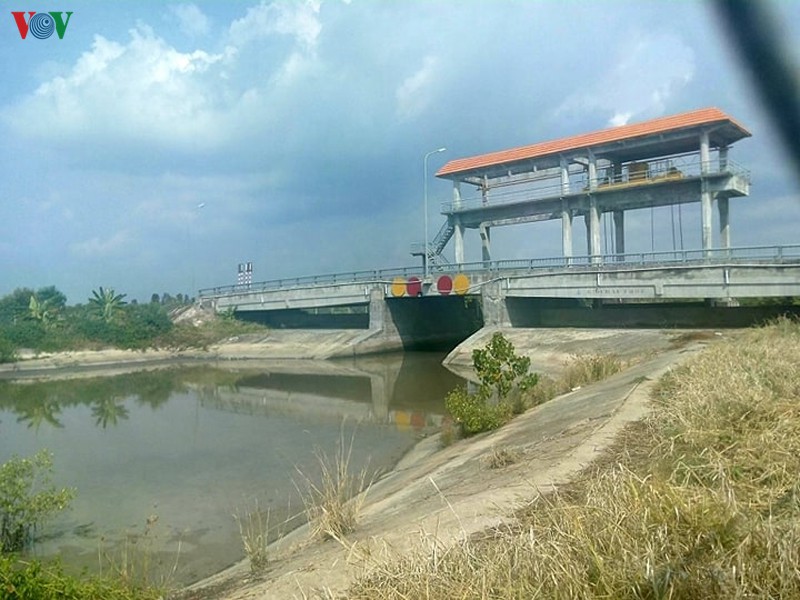 hang tram ha lua o kien giang bi anh huong boi han man  hinh 2
