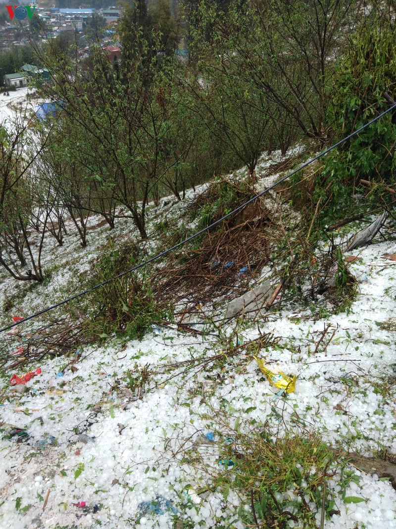 mua da phu trang nhu tuyet tai nhieu xa o lai chau hinh 1