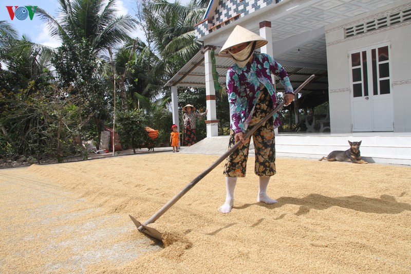 cong au thuyen ninh quoi-cong trinh ngan man phat huy hieu qua hinh 1