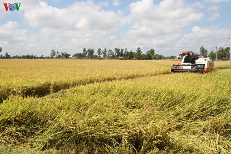 cong au thuyen ninh quoi-cong trinh ngan man phat huy hieu qua hinh 2