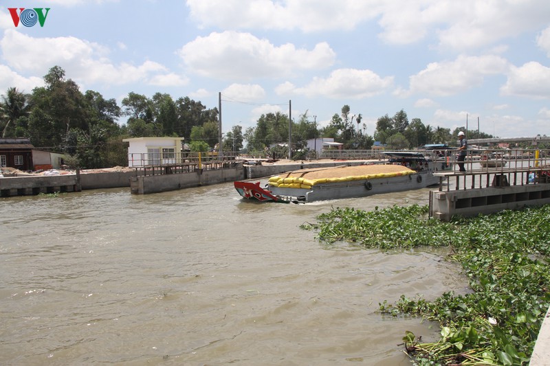 cong au thuyen ninh quoi-cong trinh ngan man phat huy hieu qua hinh 3