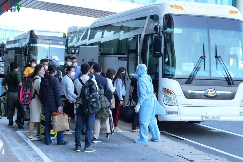 hon 400 cong dan viet nam tu nhat ban tro ve nuoc deu khoe manh hinh 1