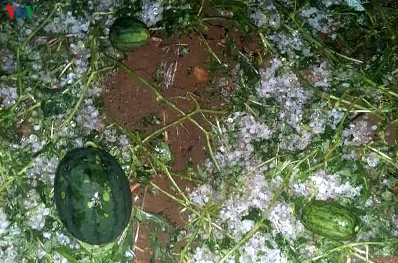 lai chau thiet hai hon 20 ty dong do mua da, gio loc hinh 2