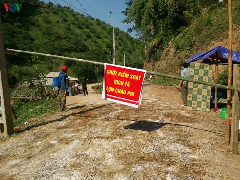 ​dich ta lon chau phi bung phat tai xa chieng co, tp son la hinh 1