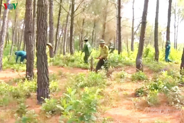 quang binh nghiem cam dot thuc bi trong thoi tiet nang nong hinh 1