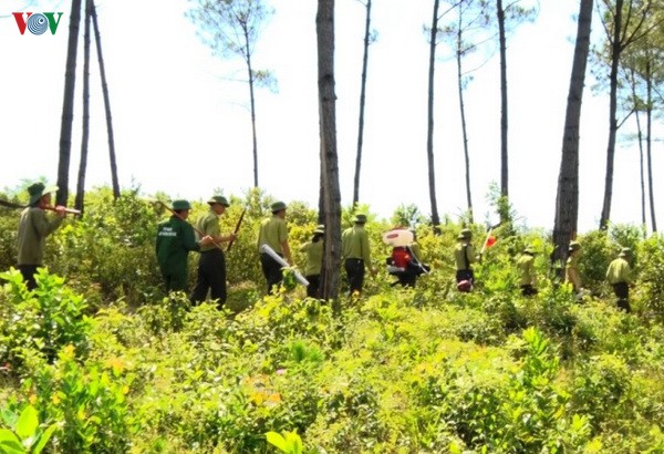 quang binh nghiem cam dot thuc bi trong thoi tiet nang nong hinh 2