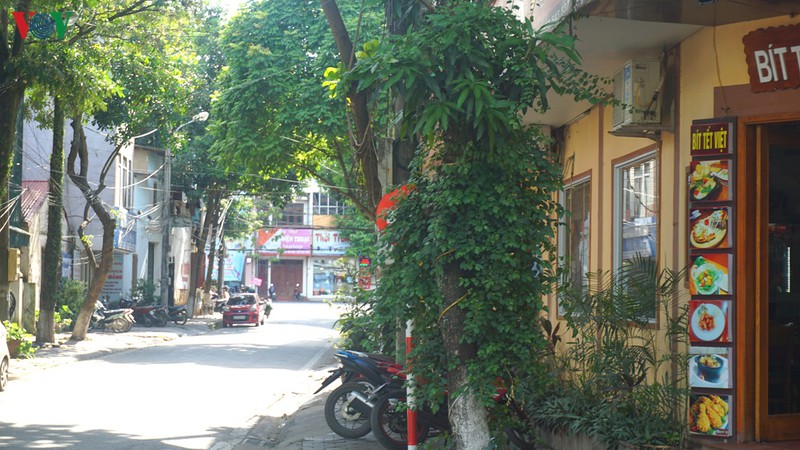 loat bien bao giao thong moi gay kho hieu o thanh pho lao cai hinh 3